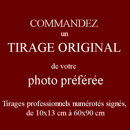championnat24_06819 - Copie.jpg